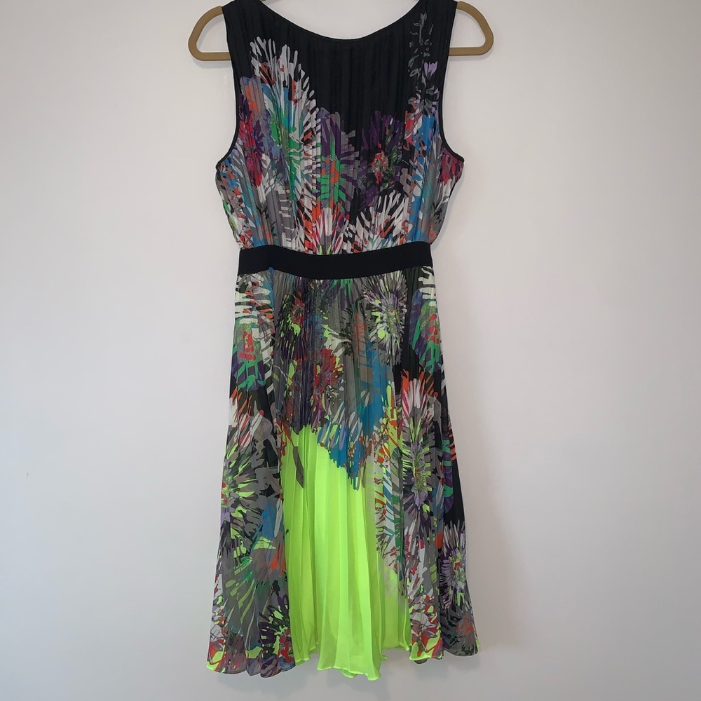 BCBG Chiffon Pleated Bottom Print Dress
